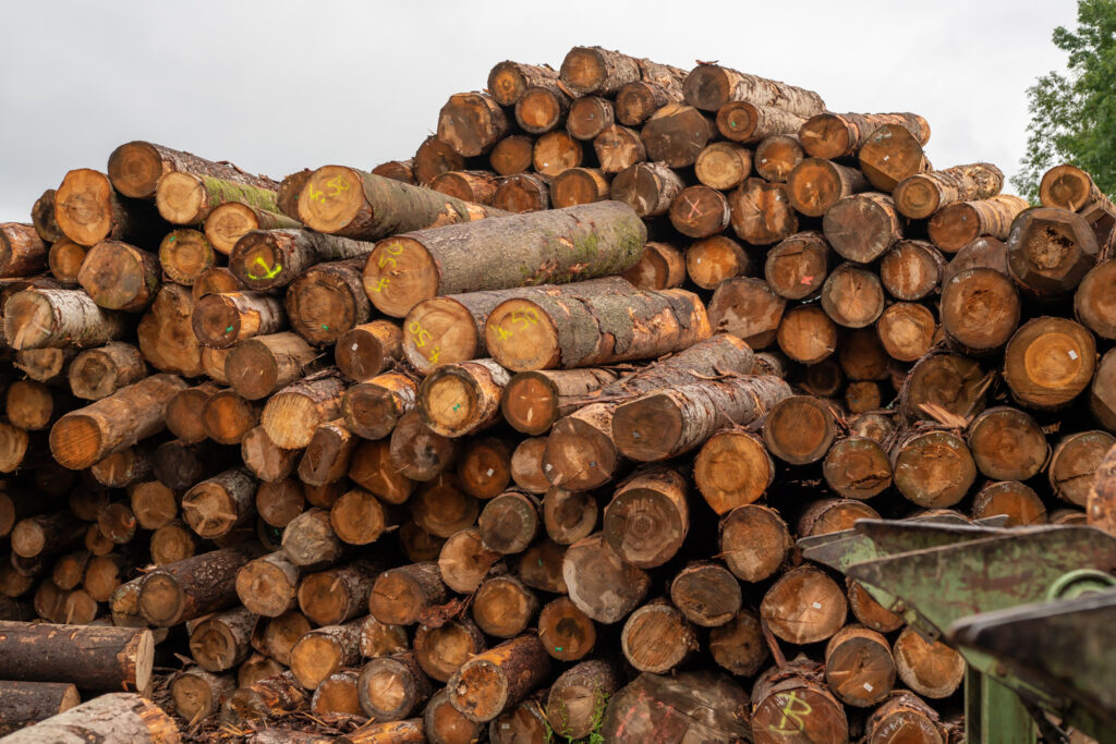 Emmenegger Saegerei GmbH LowRES 007