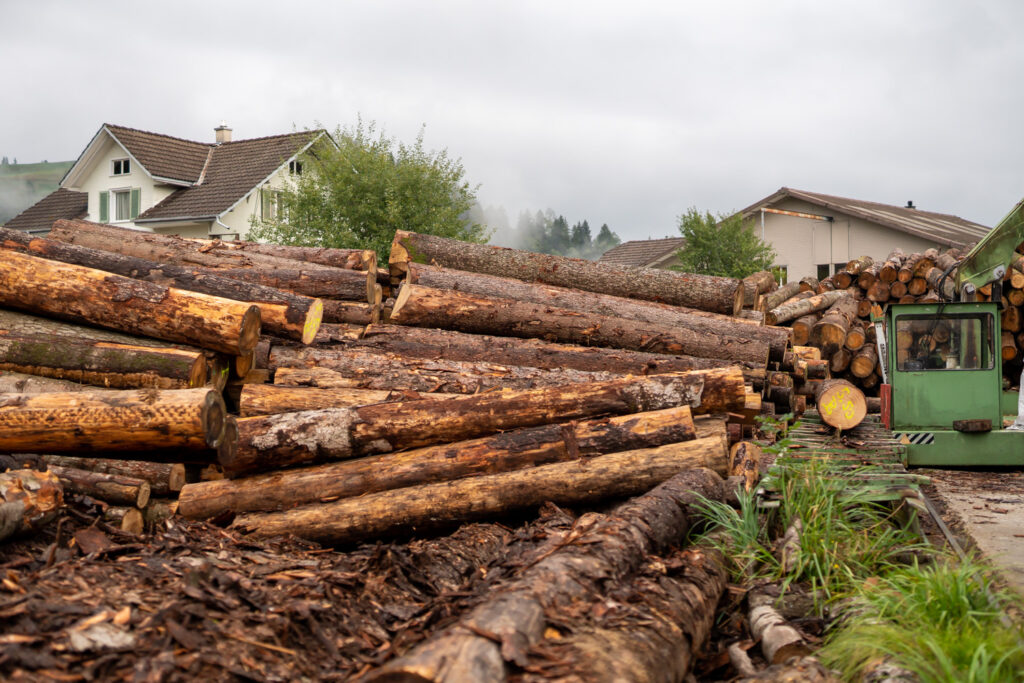 Emmenegger Saegerei GmbH LowRES 012