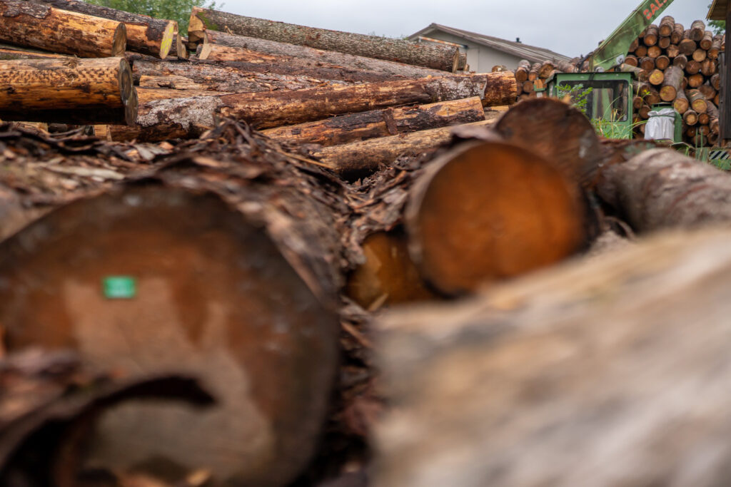 Emmenegger Saegerei GmbH LowRES 013